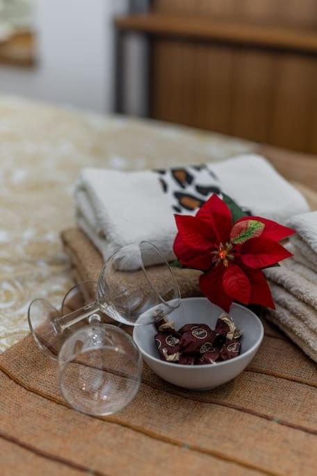 Apartment Keti Zemun